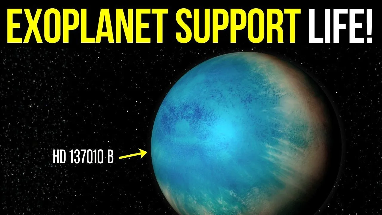 HD 137010 b: Earth-Size Planet Candidate With an Earth-Like Year-Video