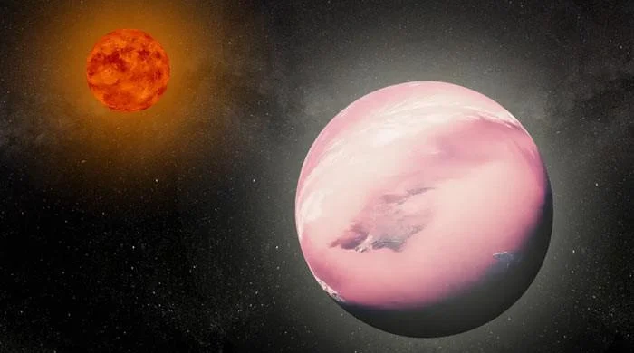 TOI-1883 b May Be Solving the Neptunian Desert Mystery
