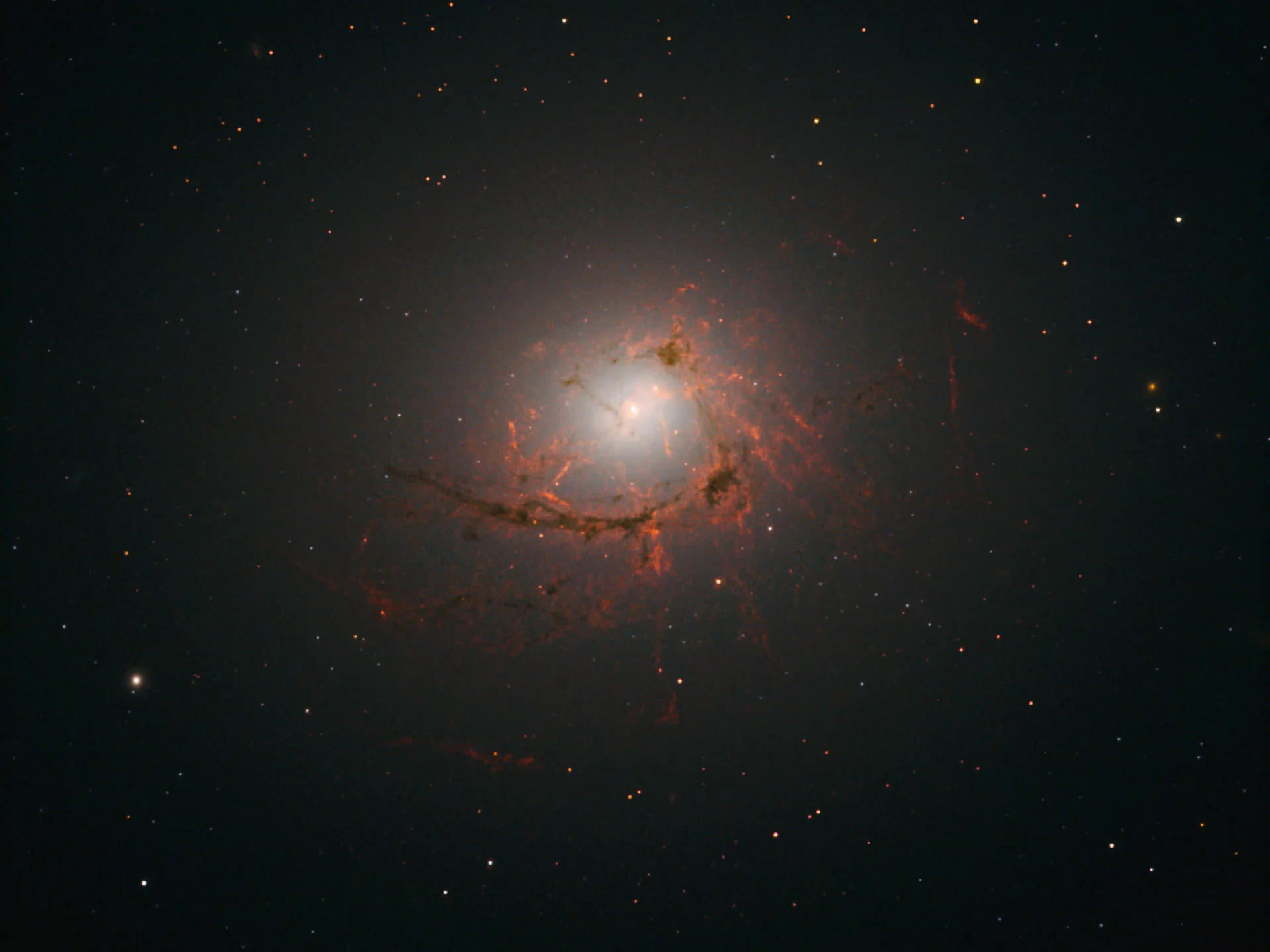 JWST Black Hole Feeding Discovery Reveals a Cosmic Fuel Cycle