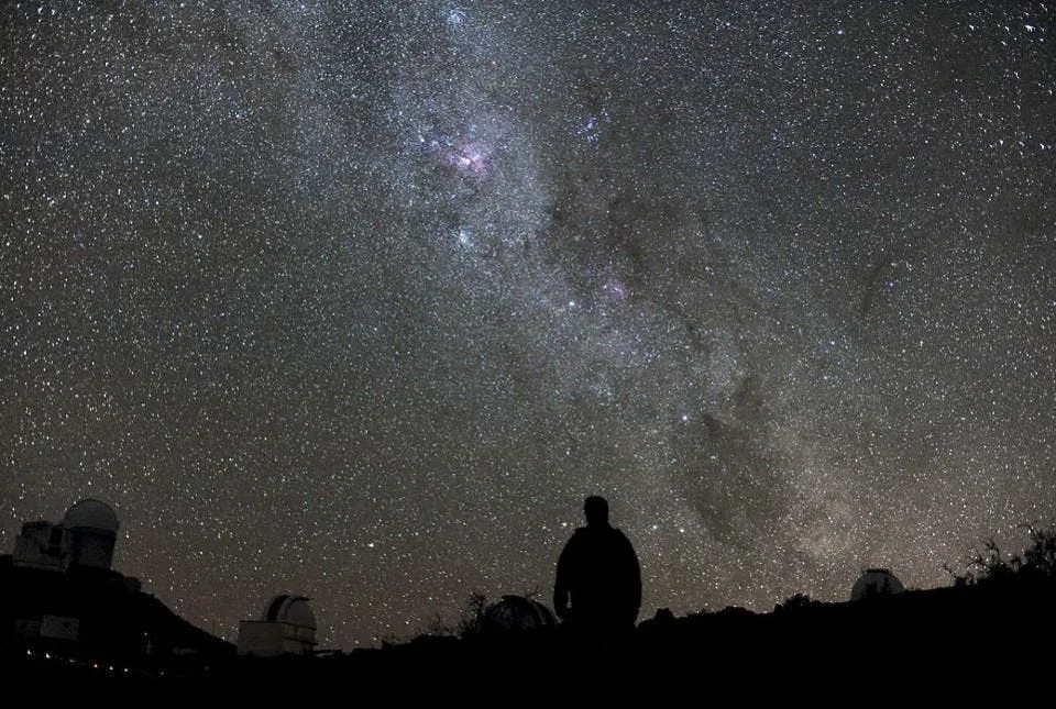 South Pole Telescope Galaxy Clusters Reveal a Hidden Cosmic Census