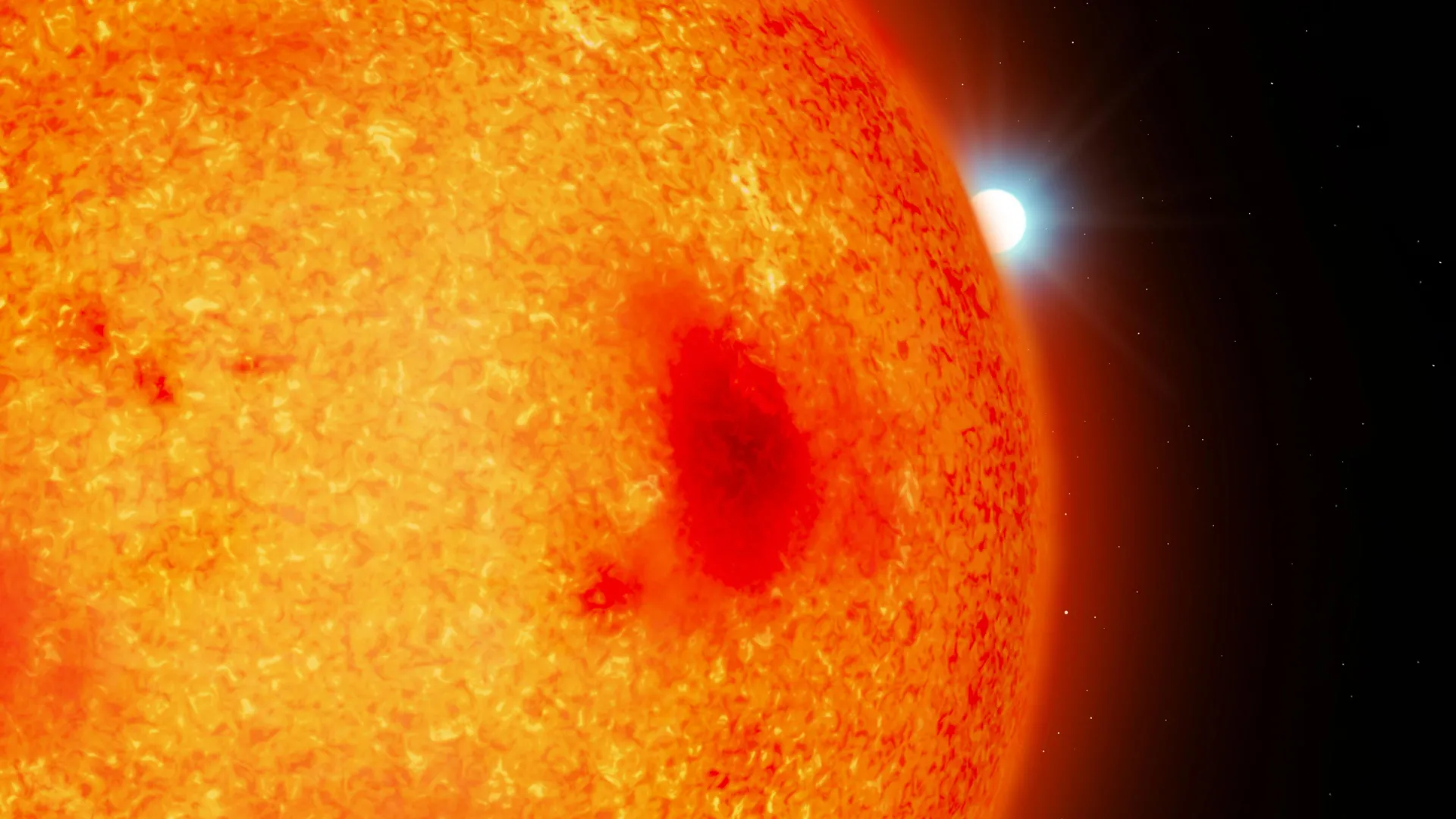 Hidden White Dwarfs Near Earth Revealed by Hubble