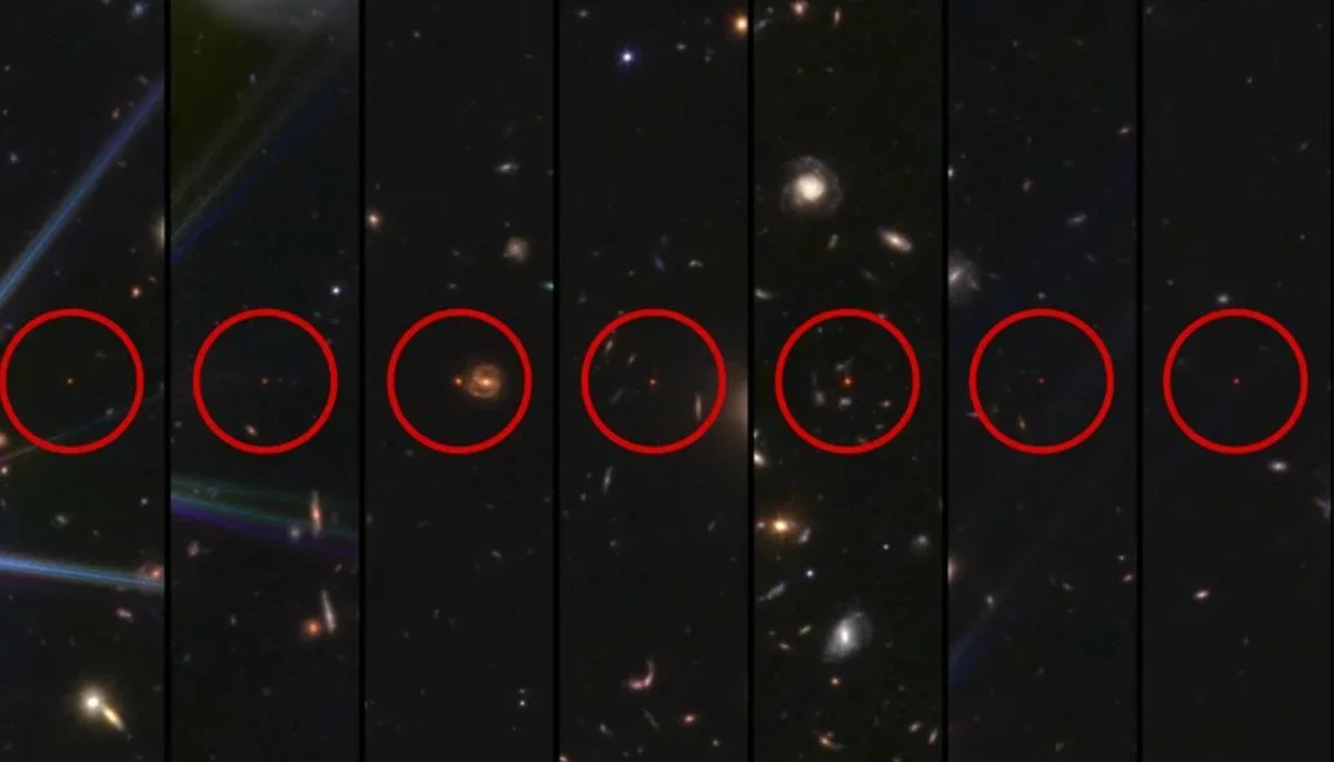 Little Red Dot Formation Seen in a Young JWST Galaxy