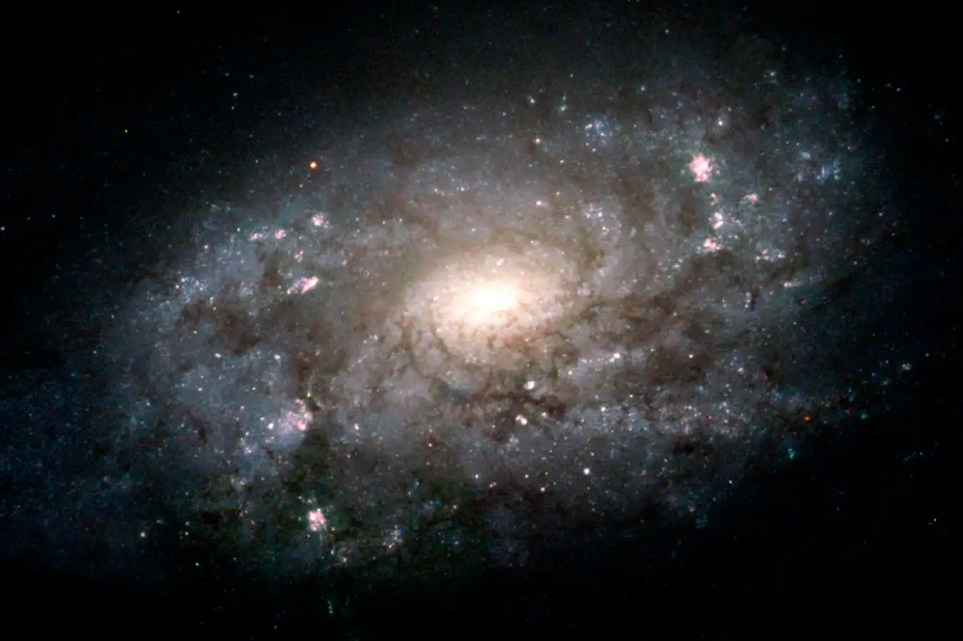 Dark Matter Search Faces Cosmic Silence
