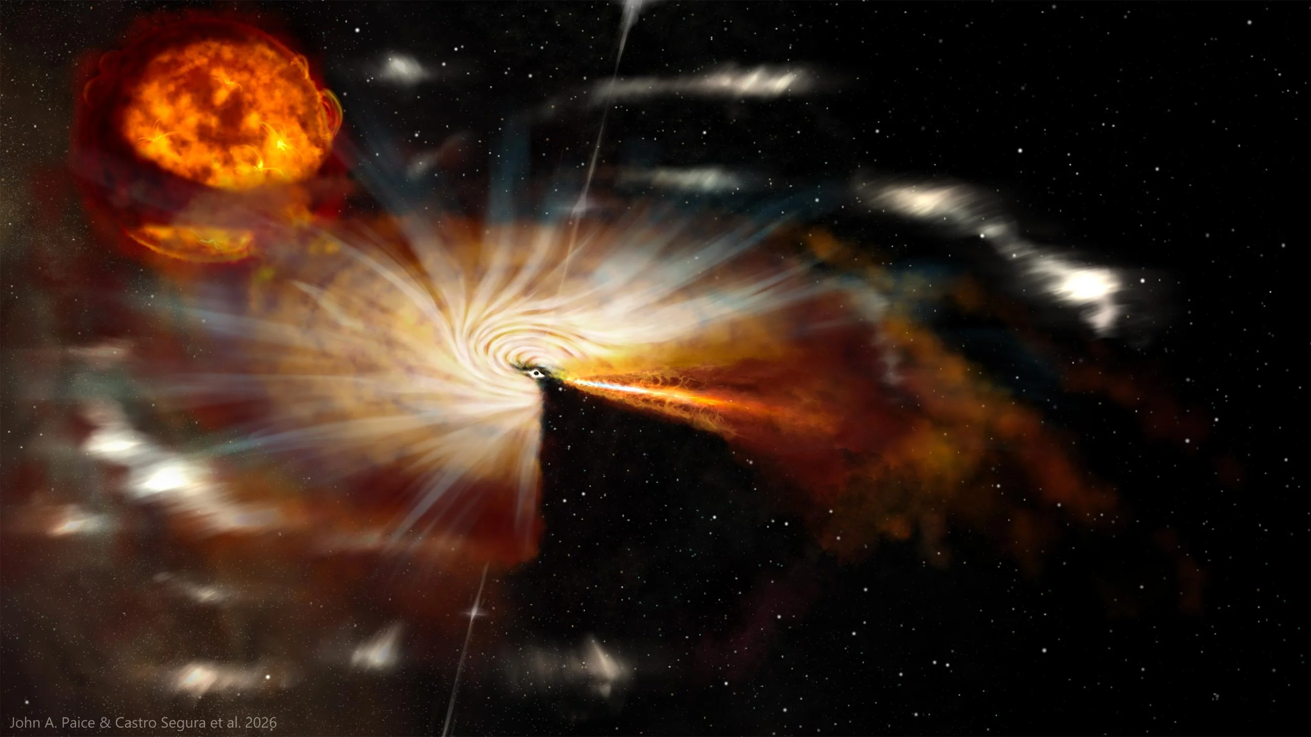 The Whippet black hole event: What May Have Survived?