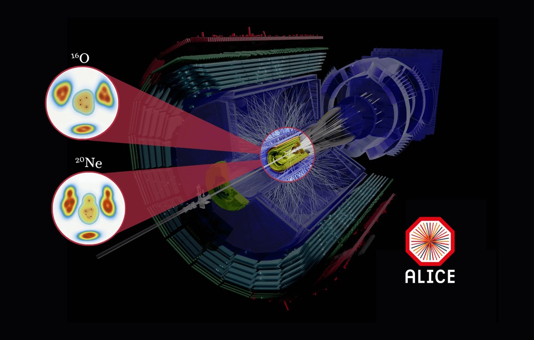 CERN Primordial Plasma Reveals Nuclear Shapes