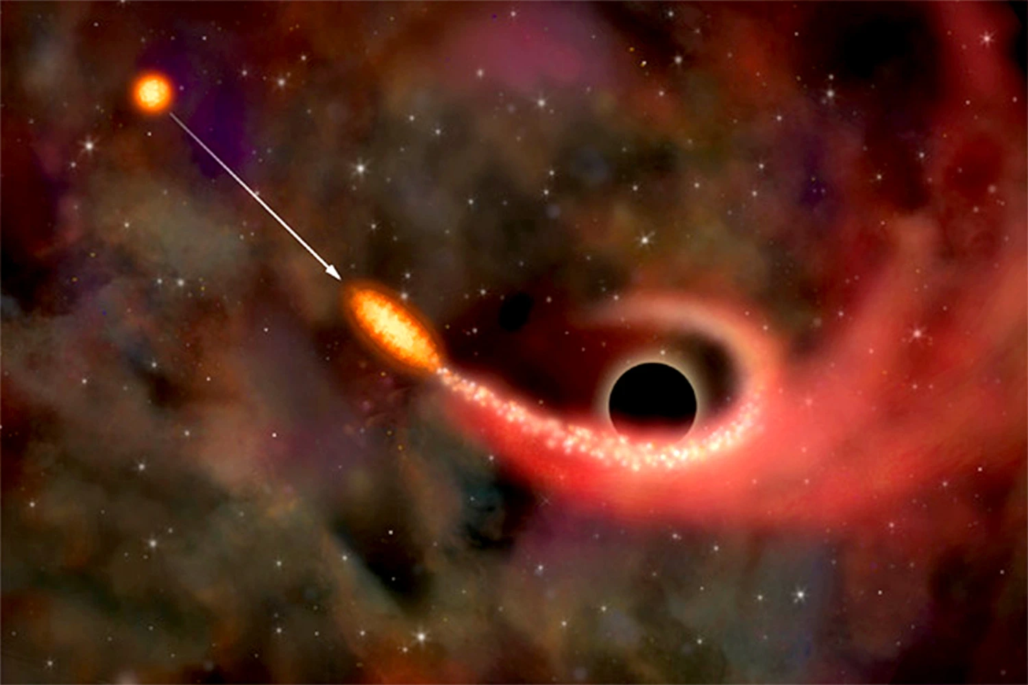 Fading Black Hole Flares May Reveal Stellar Spin