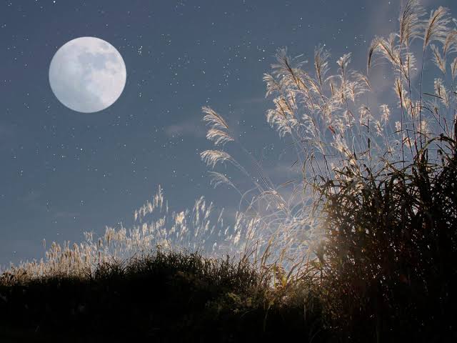 September 2026 Night Sky: Best Events to Watch