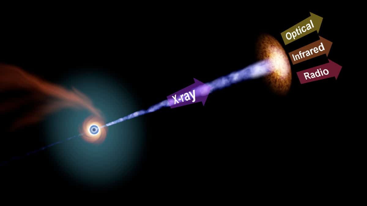 Black hole jets may share a universal trigger