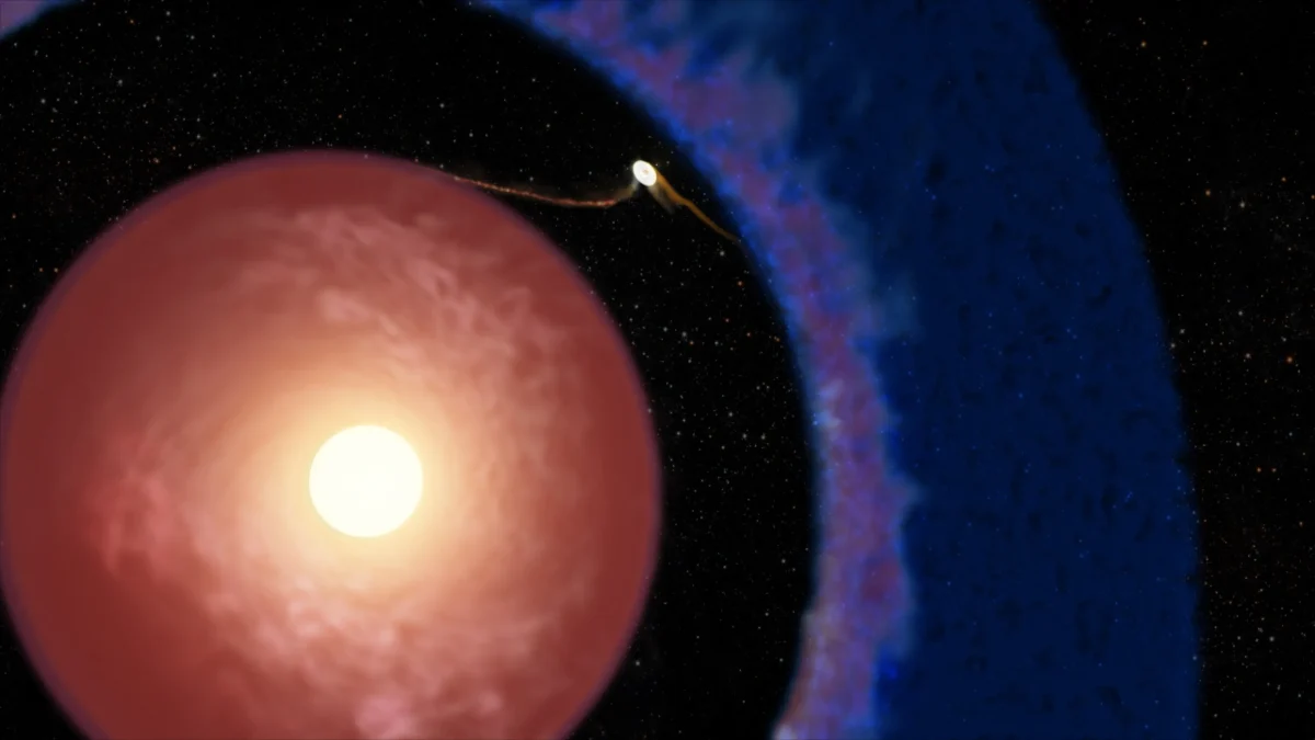 Elias 2-24 b: Baby Planet Challenges Formation Models