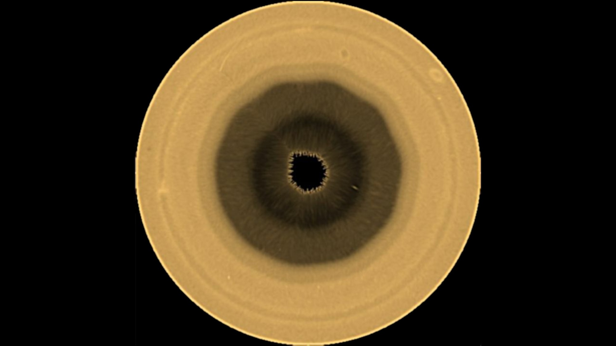Saturn’s decagon: Hubble Reveals a New Polar Mystery
