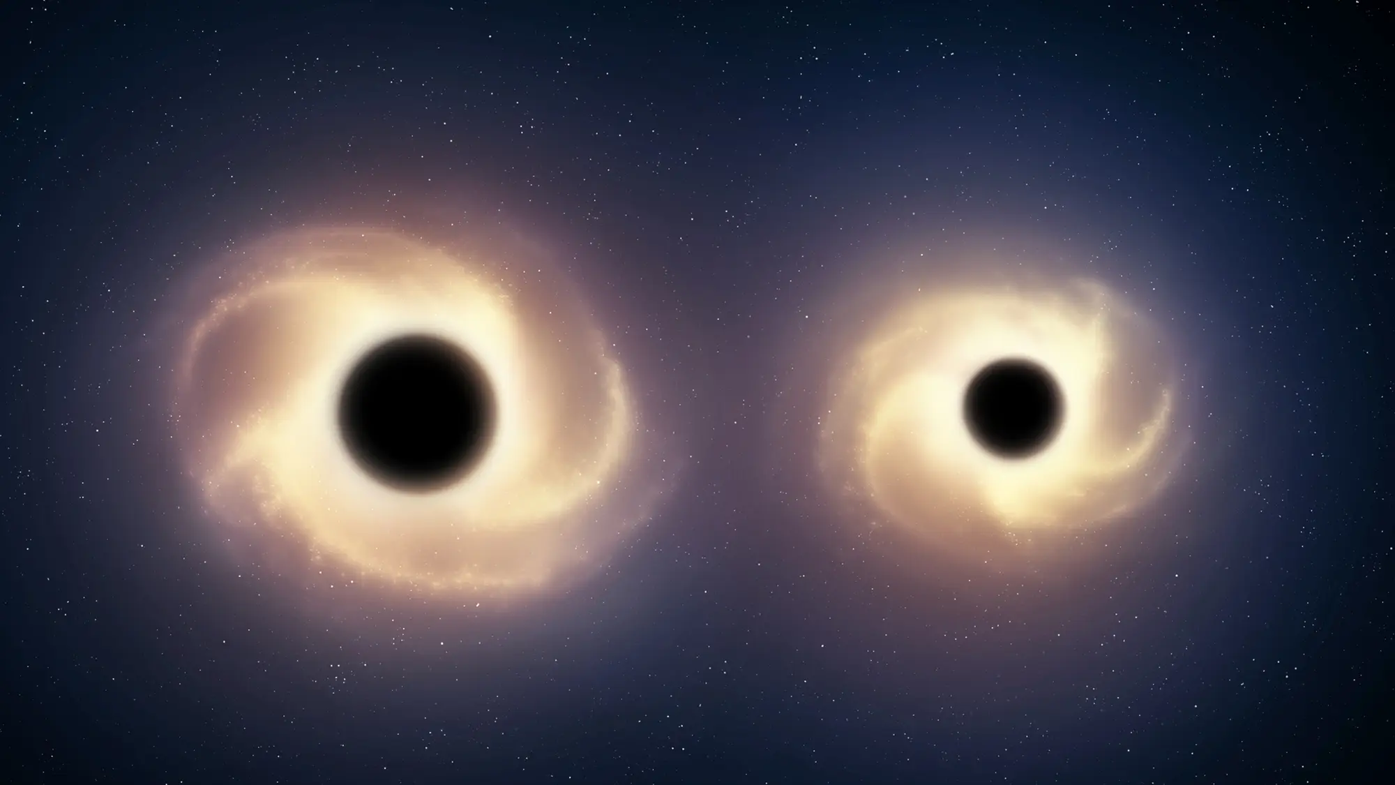 Microblazar candidate reveals a jet aimed toward Earth