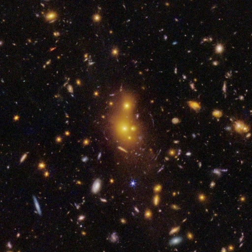 JWST galaxy cluster discovery reveals a dark matter mystery