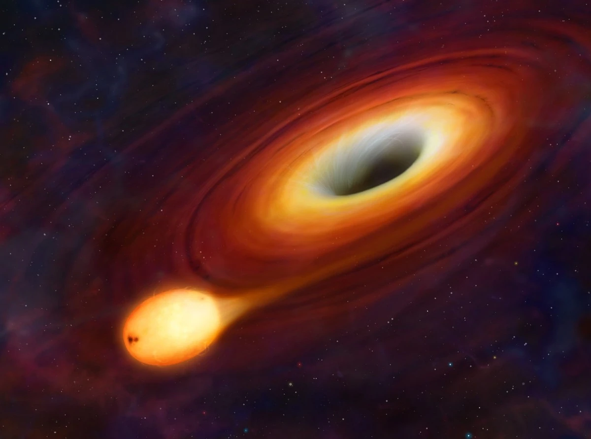 Wandering Black Hole Revealed by a Star’s Final Glow
