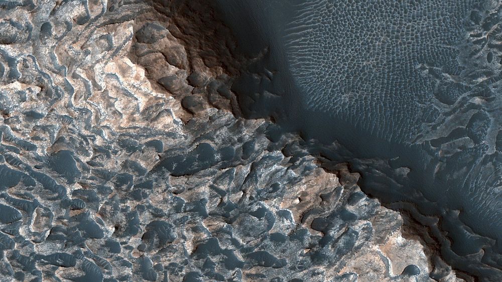 RHIC Experiments Reveal a Surprising Matter Mystery